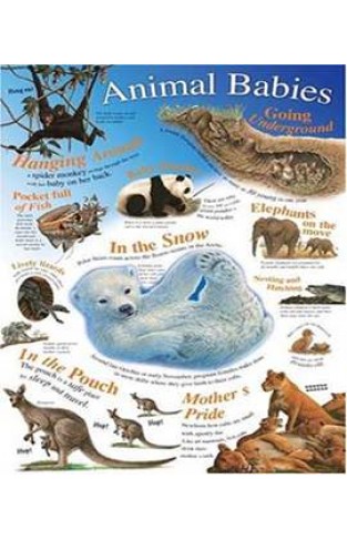 Animal Babies (Natural History Wallchart)