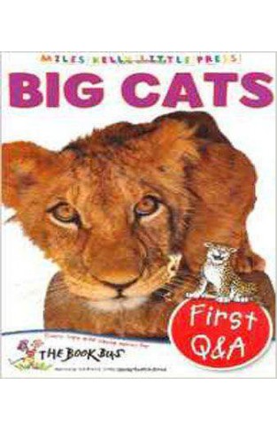 Big Cats (Little Press)