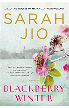 Blackberry Winter: A Novel