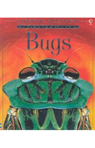 Bugs (Internet-linked "Discovery" Programme)