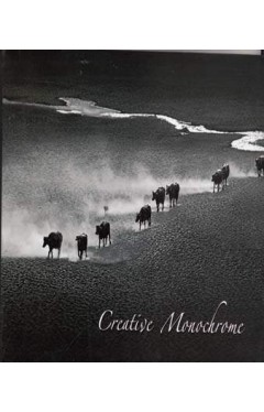 Creative Monochrome