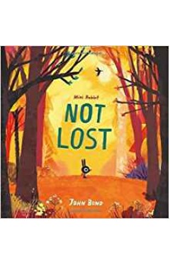 Mini Rabbit Not Lost