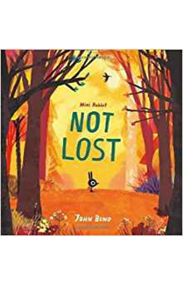 Mini Rabbit Not Lost