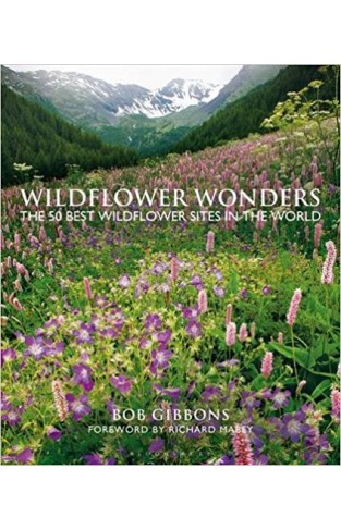 Wildflower Wonders