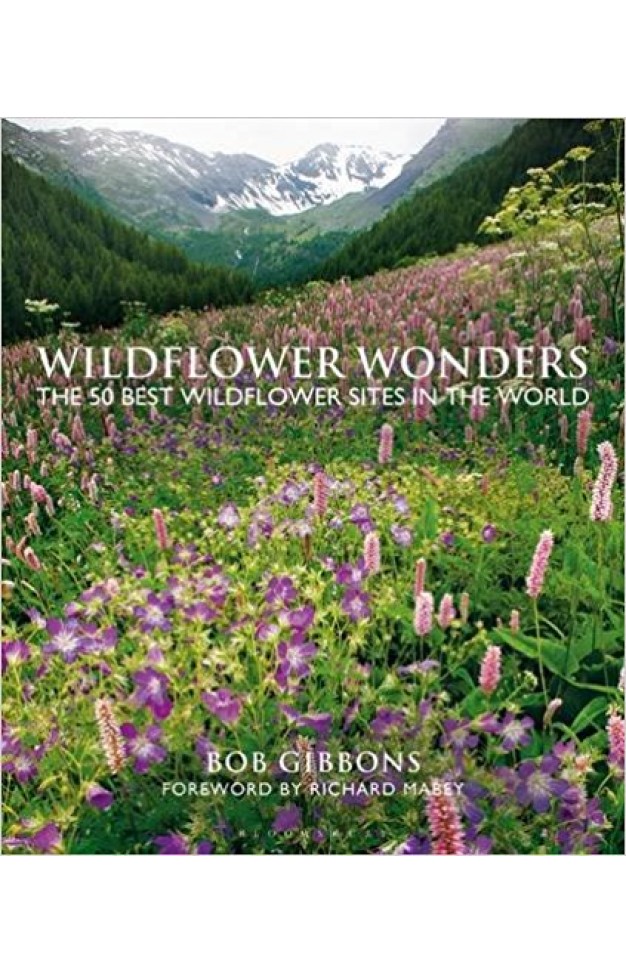 Wildflower Wonders