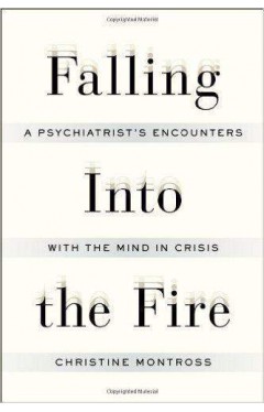 Falling into the Fire: A Psychiatrists Encounters with the Mind in Crisis