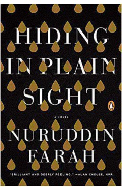 Hiding in Plain Sight 