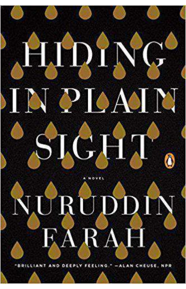 Hiding in Plain Sight 