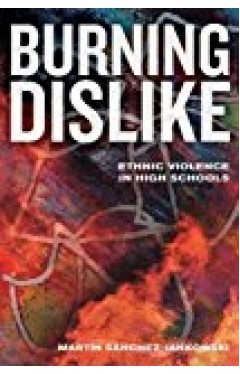 Burning dislike: ethnic violence in high schools