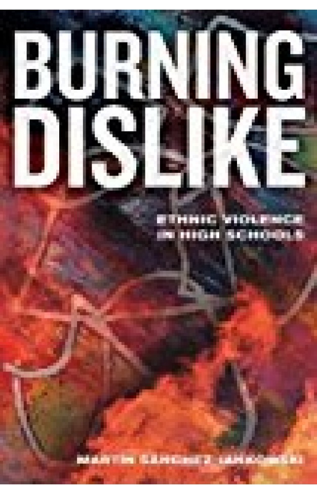 Burning dislike: ethnic violence in high schools