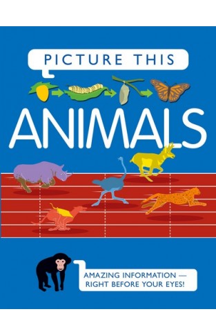 Picture This! Animals: Amazing Information-right Before Your Eyes