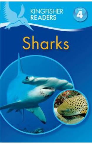 Kingfisher Readers L4: Sharks