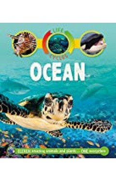 Life Cycles: Ocean