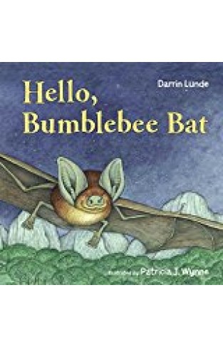 Hello, Bumblebee Bat