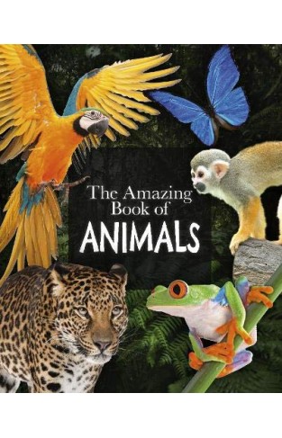 The Amazing Book of Animals - (PB)