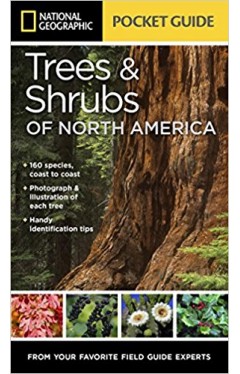 National Geographic Pocket Guide to Trees and Shrubs of North America (National Geographic Guide)