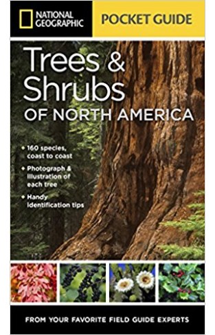 National Geographic Pocket Guide to Trees and Shrubs of North America (National Geographic Guide)