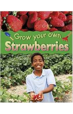 Strawberries (Grow Your Own) 