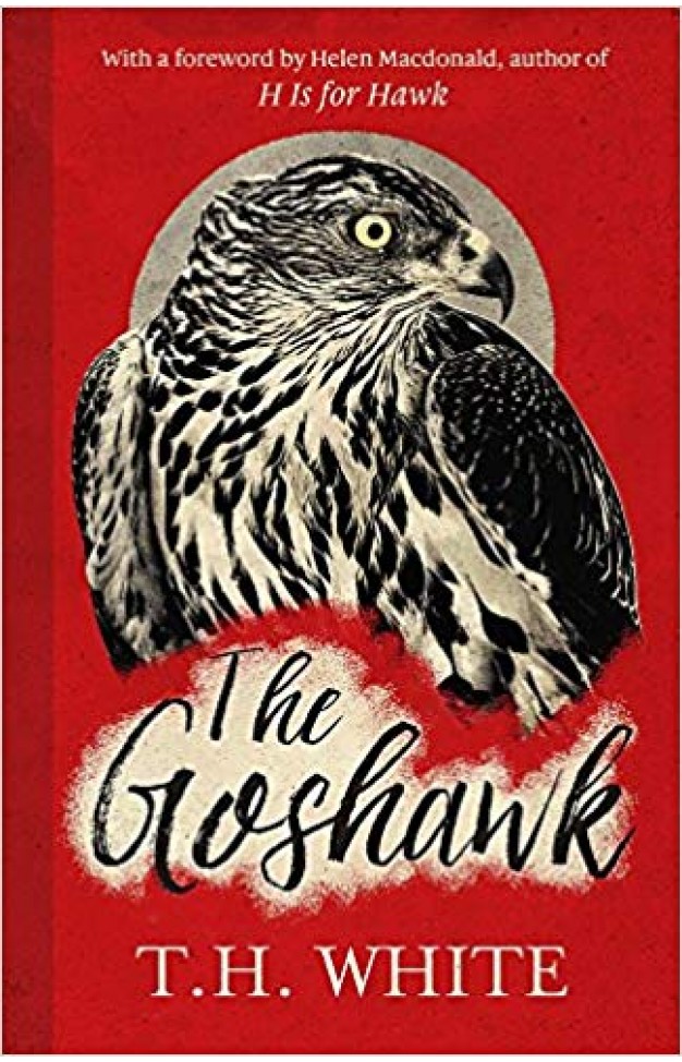 The Goshawk With a foreword by Helen Macdonald