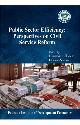 Public Sector Efficiency: Perspectives on civil service